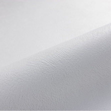 Лайнер ПВХ Renolit Alkorplan KOLOS, 2,05х25 м, цвет Zephir (белый)